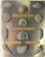 Sea Shell Assortment Small AO259 Chocolate Candy Mold