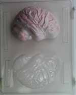 3-D realistic brain...