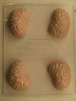 Two part medium brain H142