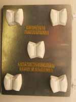 Lungs Respiratory S...